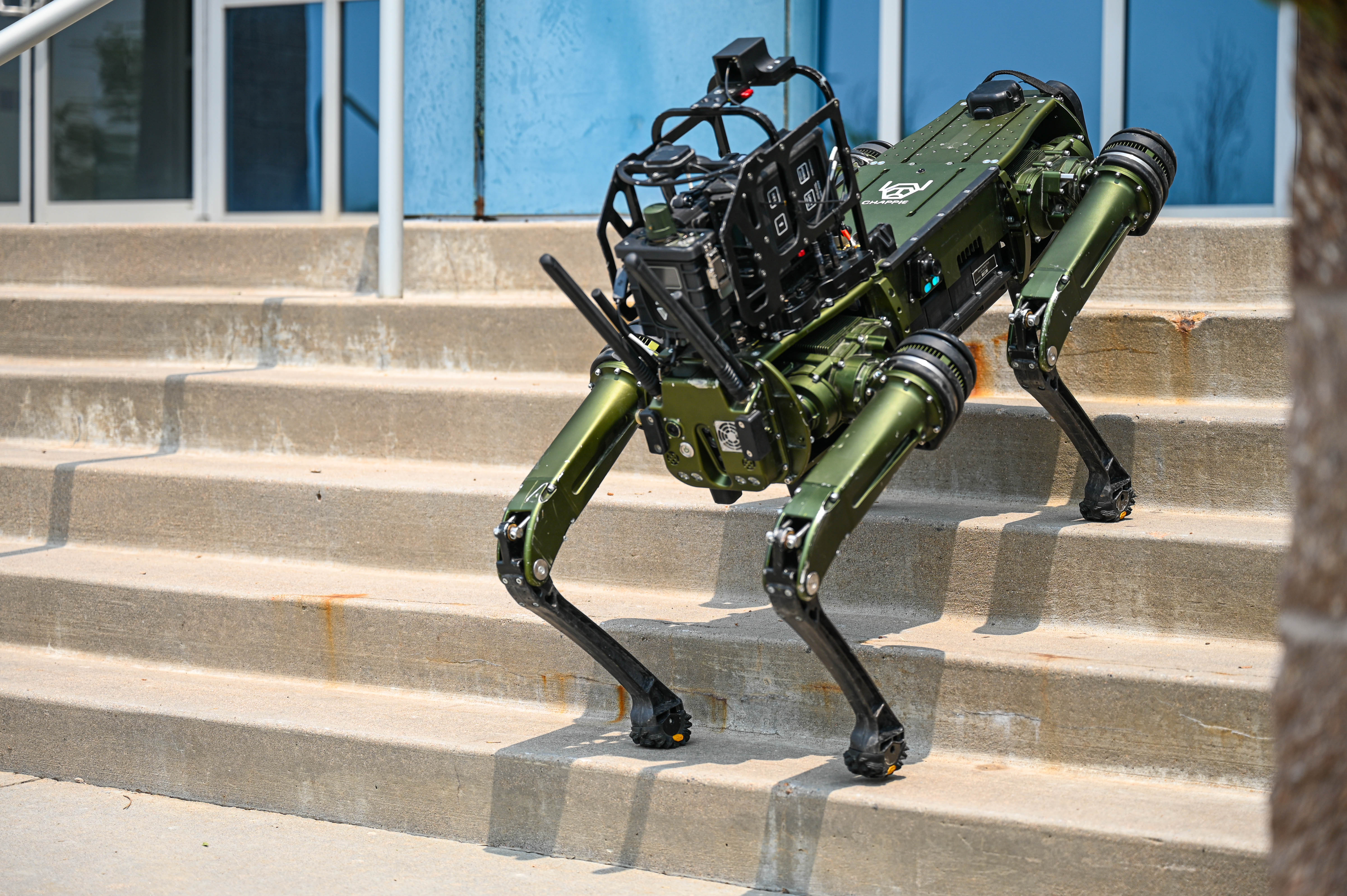 The Chemical, Biological, Radiological, and Nuclear Quadrupedal Unmanned Ground Vehicle, named CHAPPIE, executes one of its defining capabilities of being able to traverse steps and difficult terrain on Buckley Space Force Base, Colorado, July 22, 2024